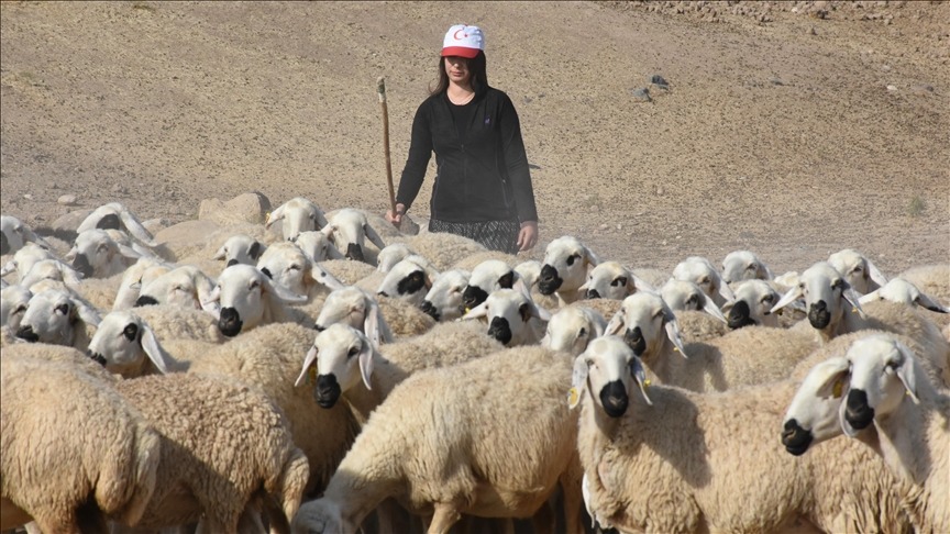 Devlet desteğiyle kapasitesini 7 kat artırdı