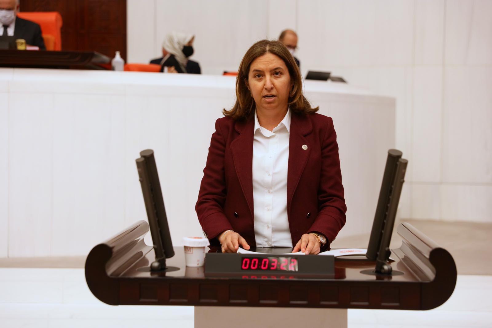 Semiha Ekinci’den Karasu’ya sert tepki: "Erdoğan'ın adını ağzına alırken bir değil bin kere düşün"