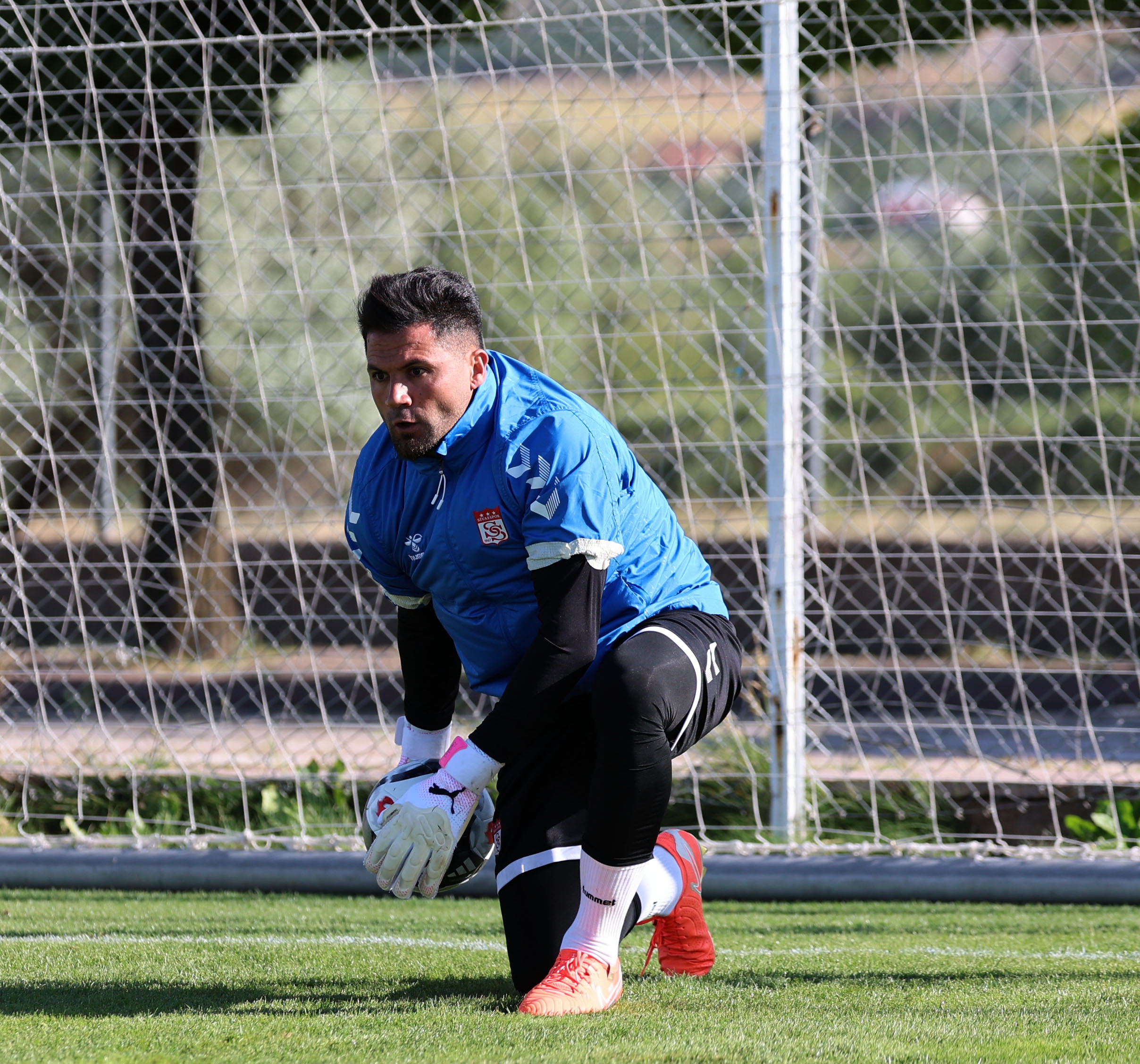 Sivasspor’dan  Ali Şaşal hamlesi!