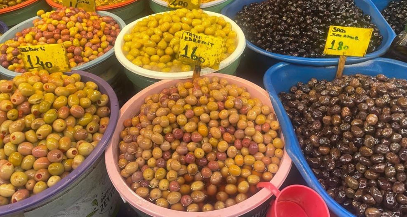 Oleolog açıkladı; Zeytin alırken nelere dikkat edilmeli