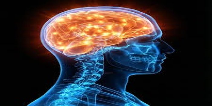 Reels izlemek beyni çürütüyor