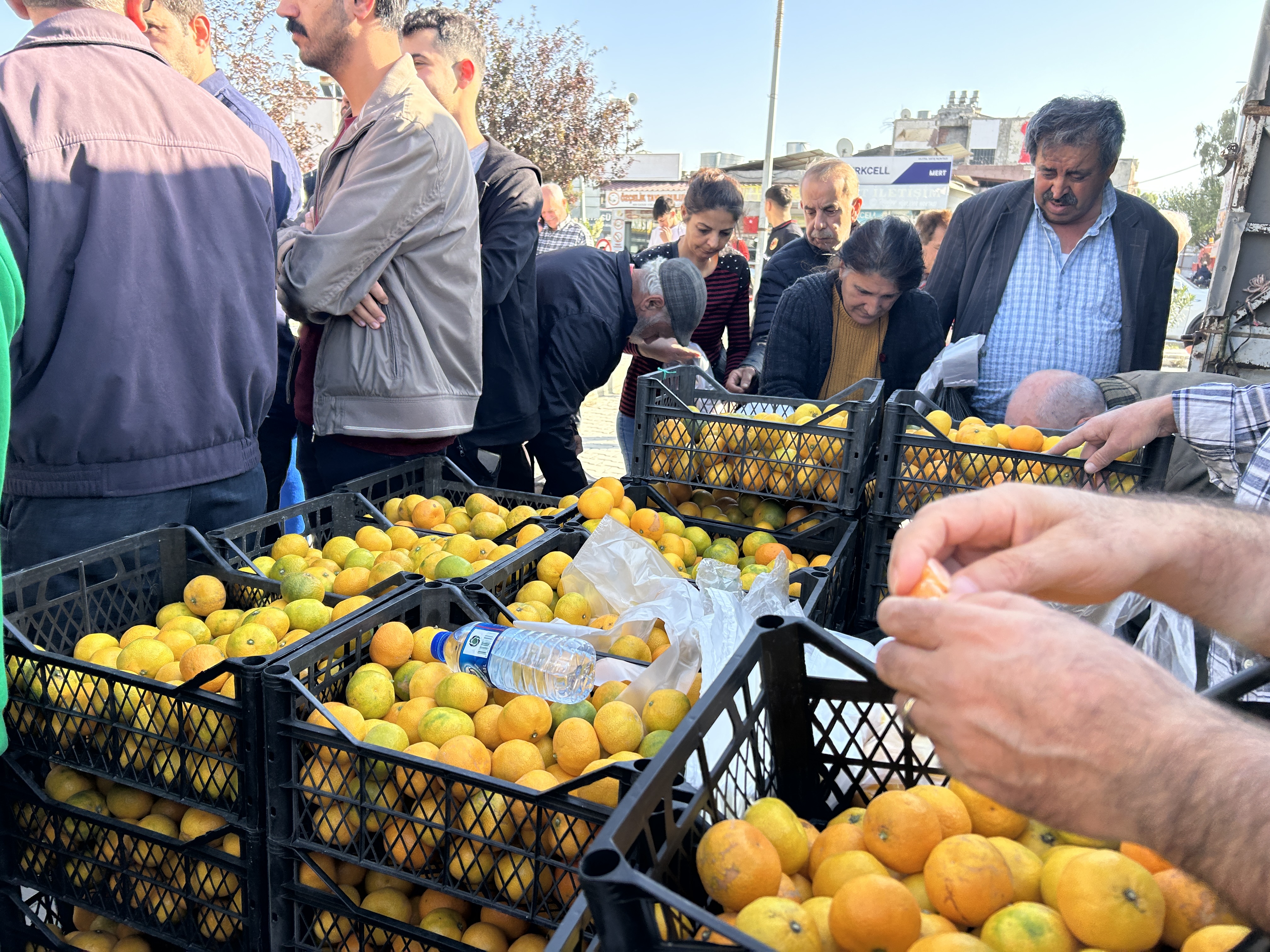 Deprem bölgesinde alıcı bulamayan üreticiler mandalinayı ücretsiz dağıttı