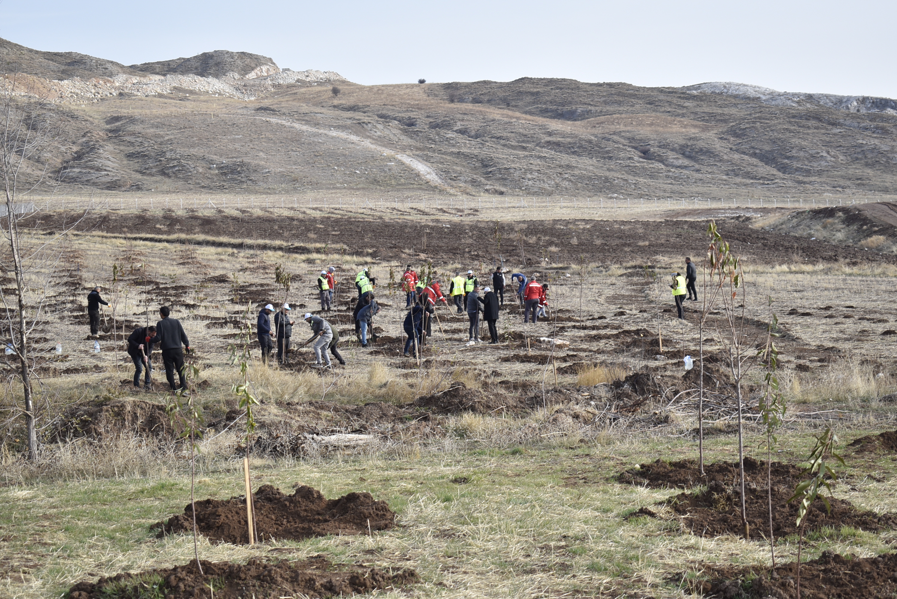 Sivas OSB’de Yüzlerce Fidan Toprakla Buluştu