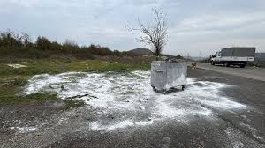 Samsun'da ölü bulunan 9 köpekten alınan doku örnekleri teste gönderildi