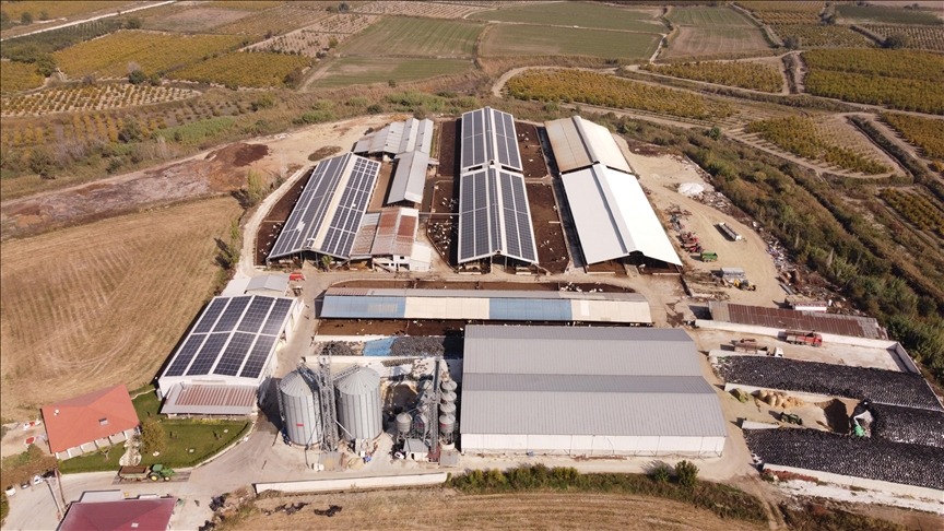 Gençlik Konseyi, gençlere rehber oluyor