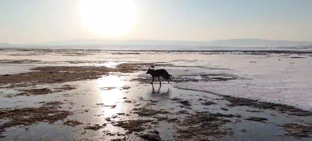 Sivas'tan kritik uyarı: "Doğa insanı uyarıyor"