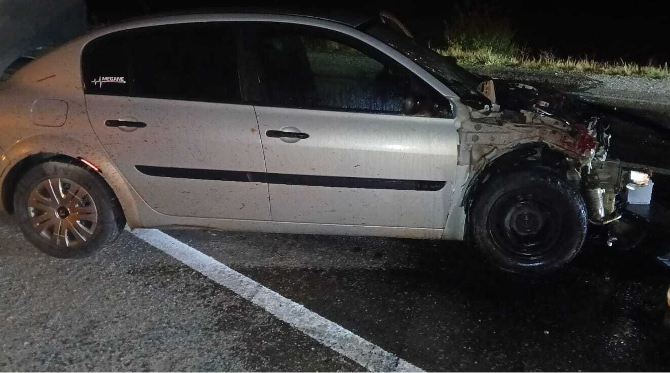 Sivas'ta otomobil domuza çarptı