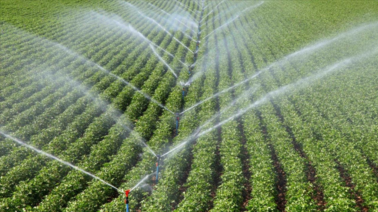 Sivas'ta çiftçiye kötü haber! Sulama için su verilmeyecek