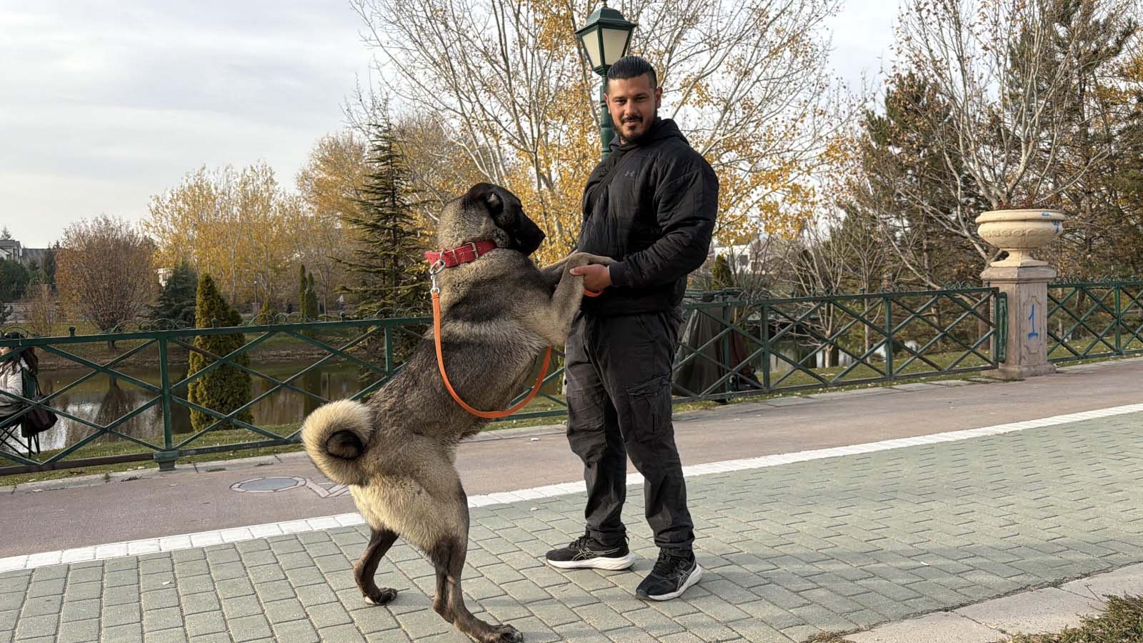 Sivas'ın Kangalını dünyaya tanıtıyor!