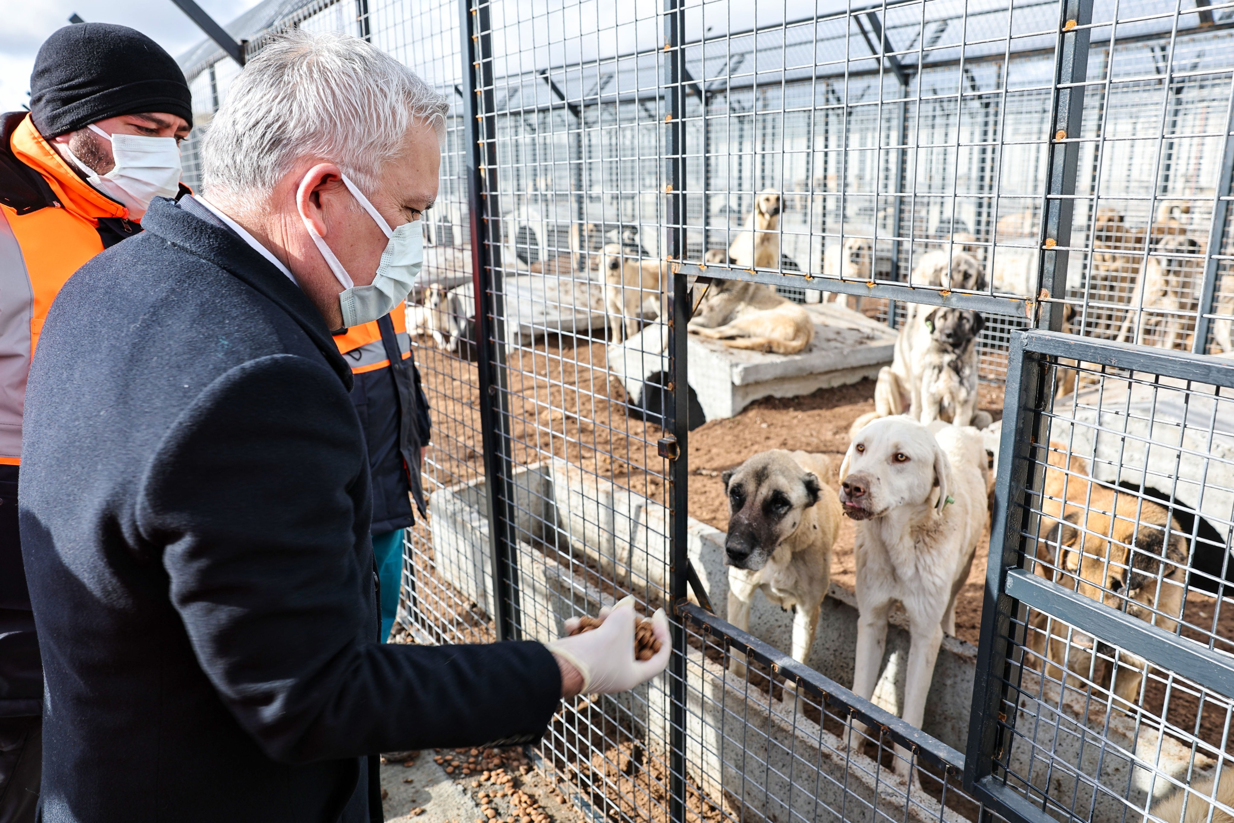 Sivas’ta rehabilitasyon merkezine kış düzenlemesi