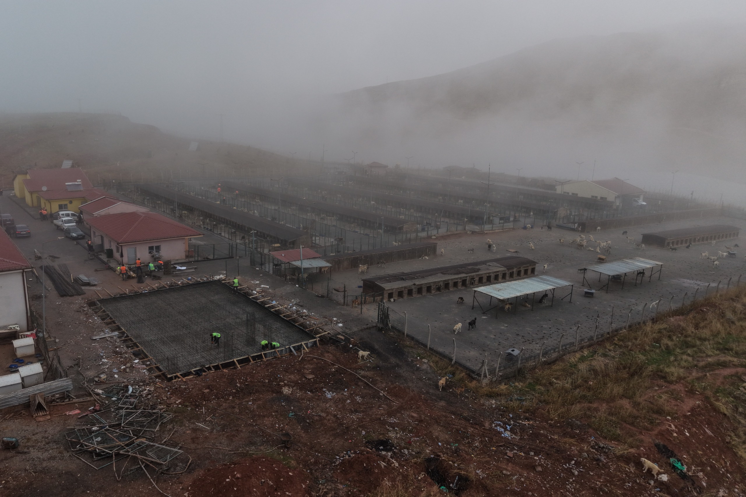 Sivas’ta hayvan barınağı baştan sona yenileniyor