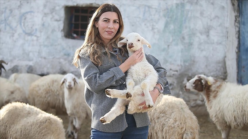 İstanbul'dan köyüne dönüp hayvancılığa başladı
