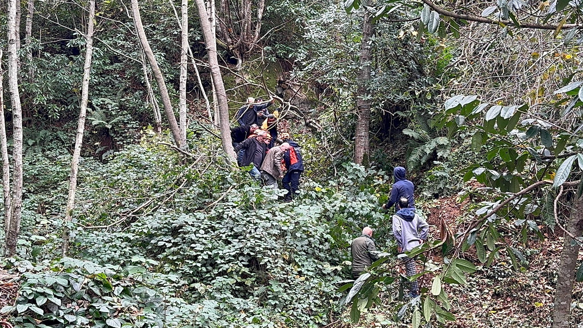 Kestiği ağacın çarpması sonucu yaralandı