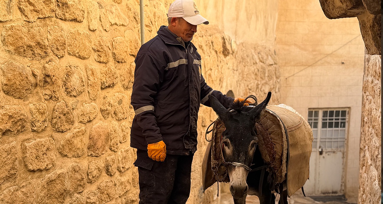 ’Kadrolu’ eşekleri emekli edecek proje hayata geçiyor