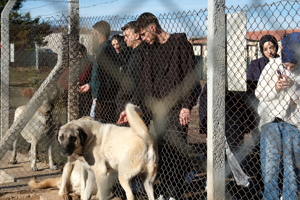Kangal Köpeği Araştırma Merkezi dünya çapında ilgi görüyor