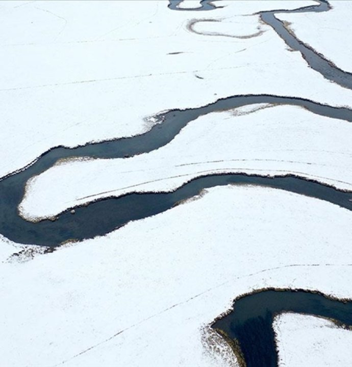 Menderesler hayvancılığa katkı sağlıyor