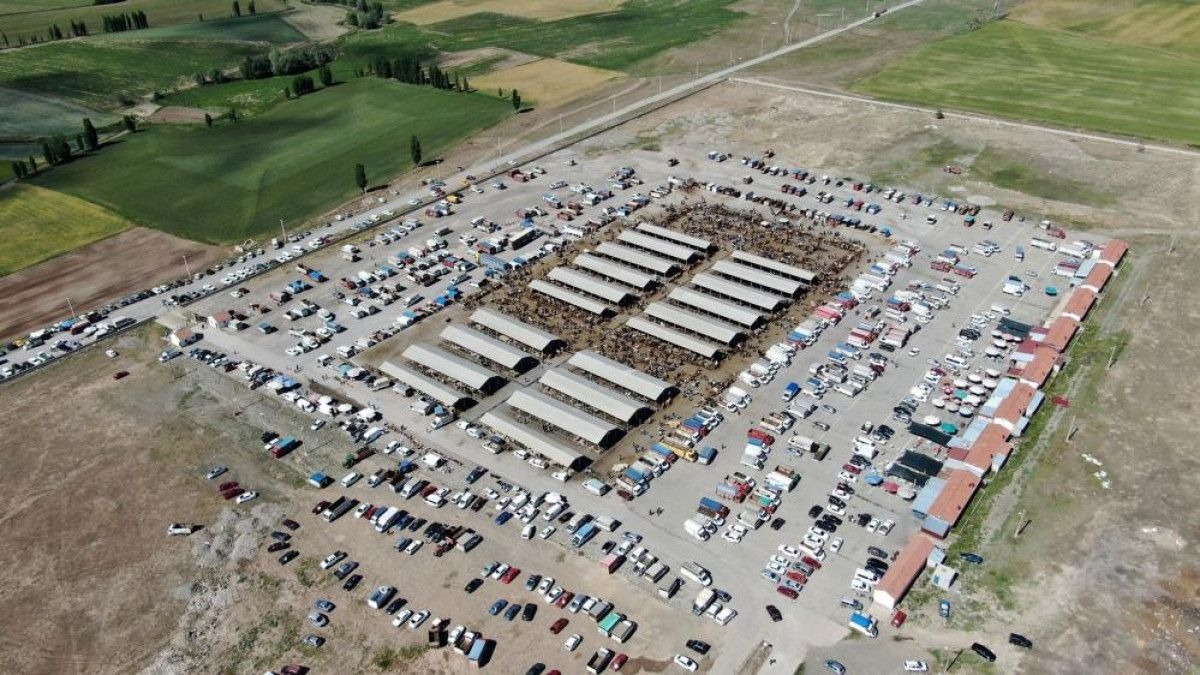 Şarkışla Hayvan Pazarı bu gece açılıyor