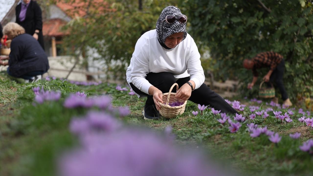 Sivas’ta kadın istihdamını artırılacak hamle