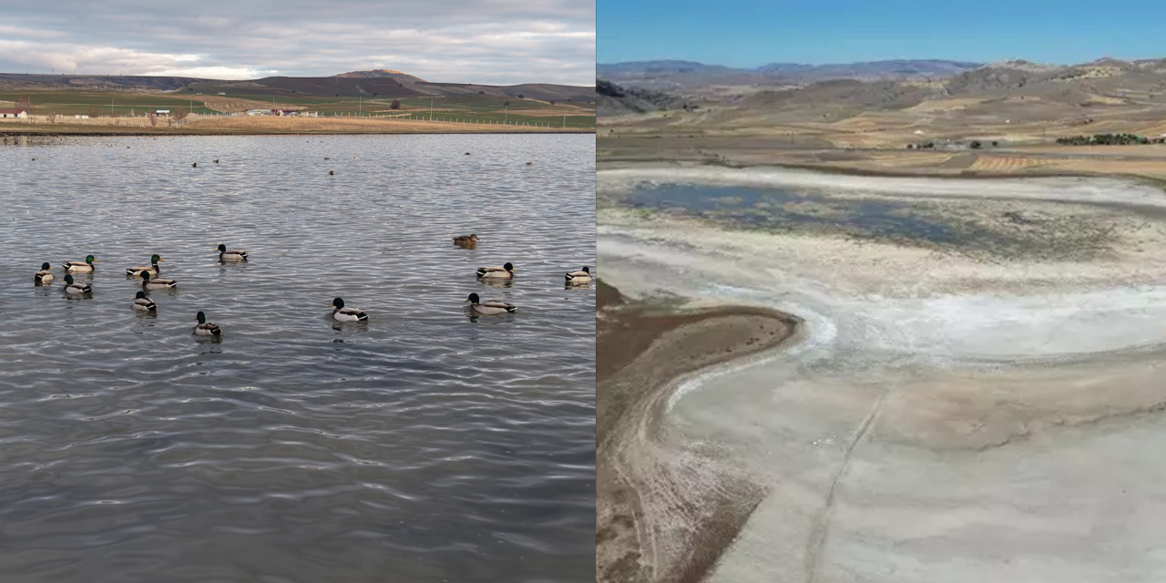 “Aylarca kupkuruydu! Yağışlar sonrası göl ve kuşlar geri döndü