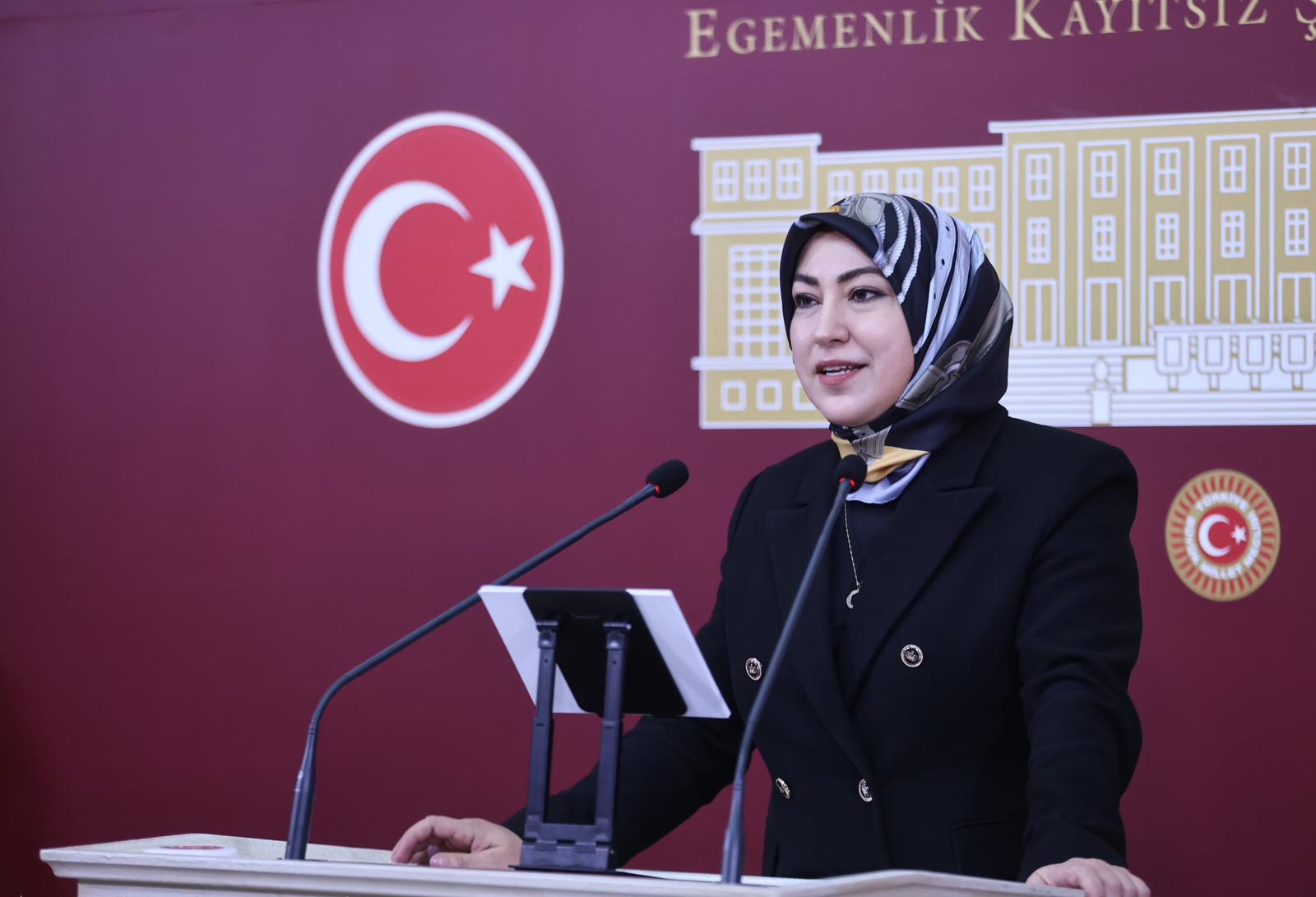 AK Partili Toy'dan başörtüsü hedef göstermeye tepki: 'Saksıda yetiştirilmiş zihniyet'