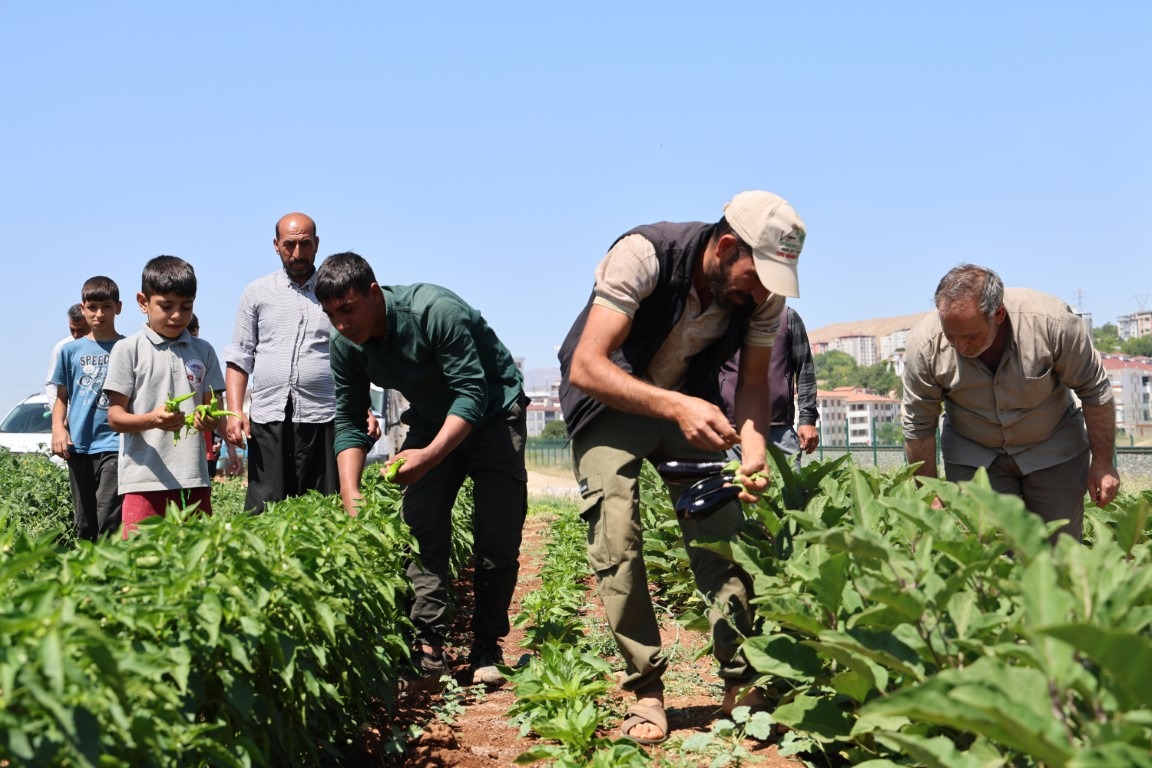 Tarladan sofraya yeni dönem! “B-Reçete” hangi illerde başlıyor?