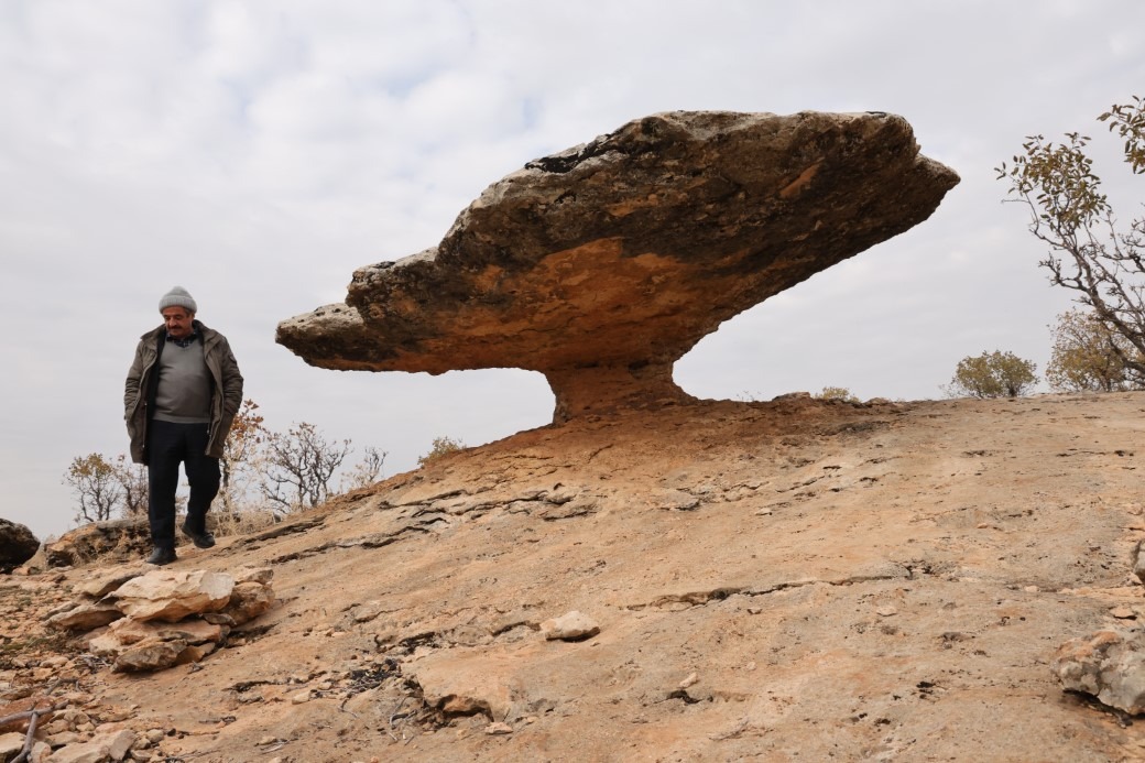 Tam 6 milyon yıl önceye ait