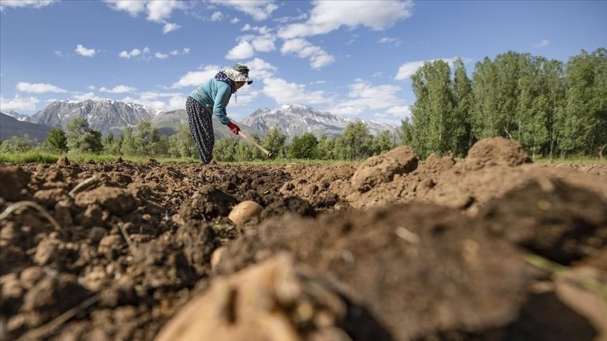 Tarım ve Orman Bakanlığından kırsal kalkınmaya dev destek