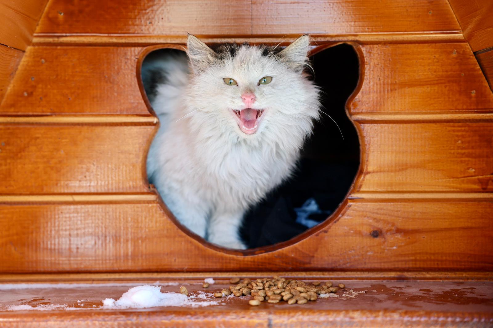 Sivas'ta eksi 19 derecede sıcak bir dokunuş