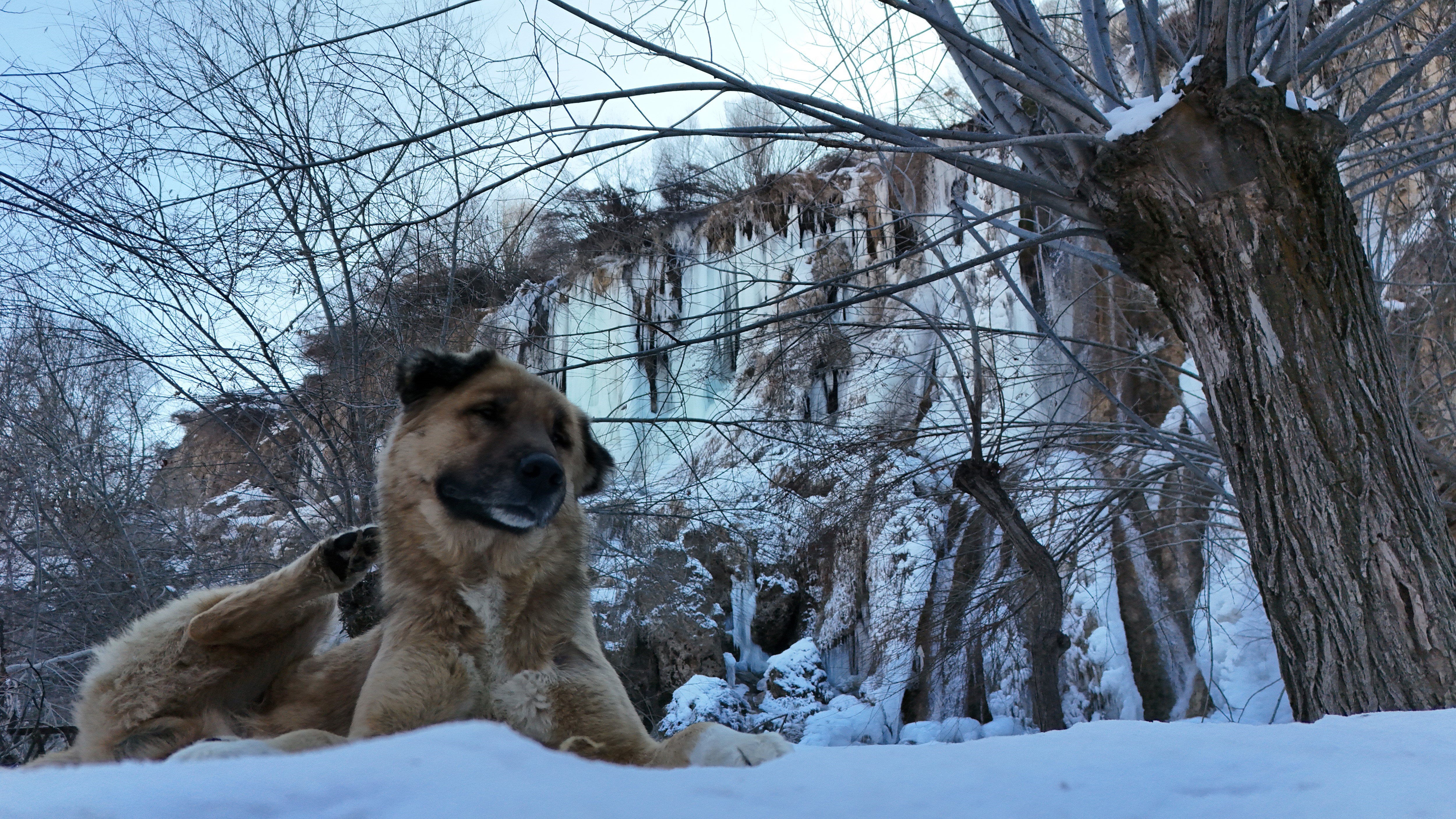 Ne Erzurum ne Kars... Türkiye'nin en soğuk yeri Sivas