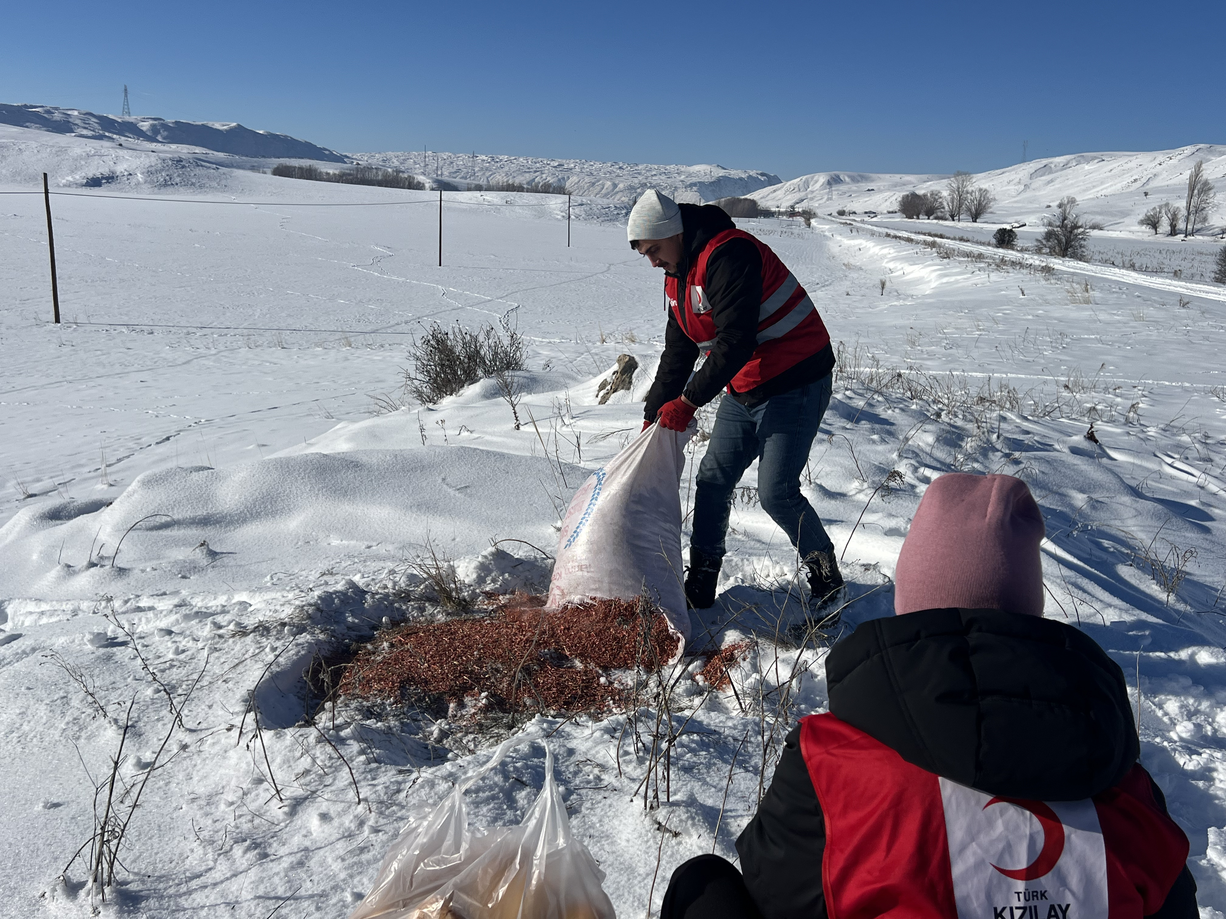 Zara'da yaban hayvanları için doğaya yem bırakıldı
