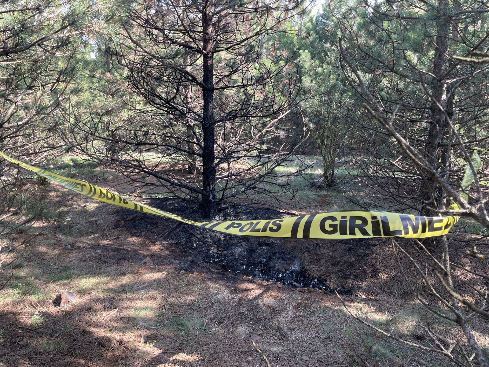 Tartıştığı sevgilisini boğarak öldürüp, cesedini 2 kez benzin dökerek yakmış