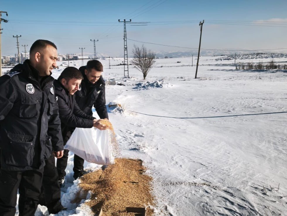 Sivas Belediyesi’nden doğal yaşama destek