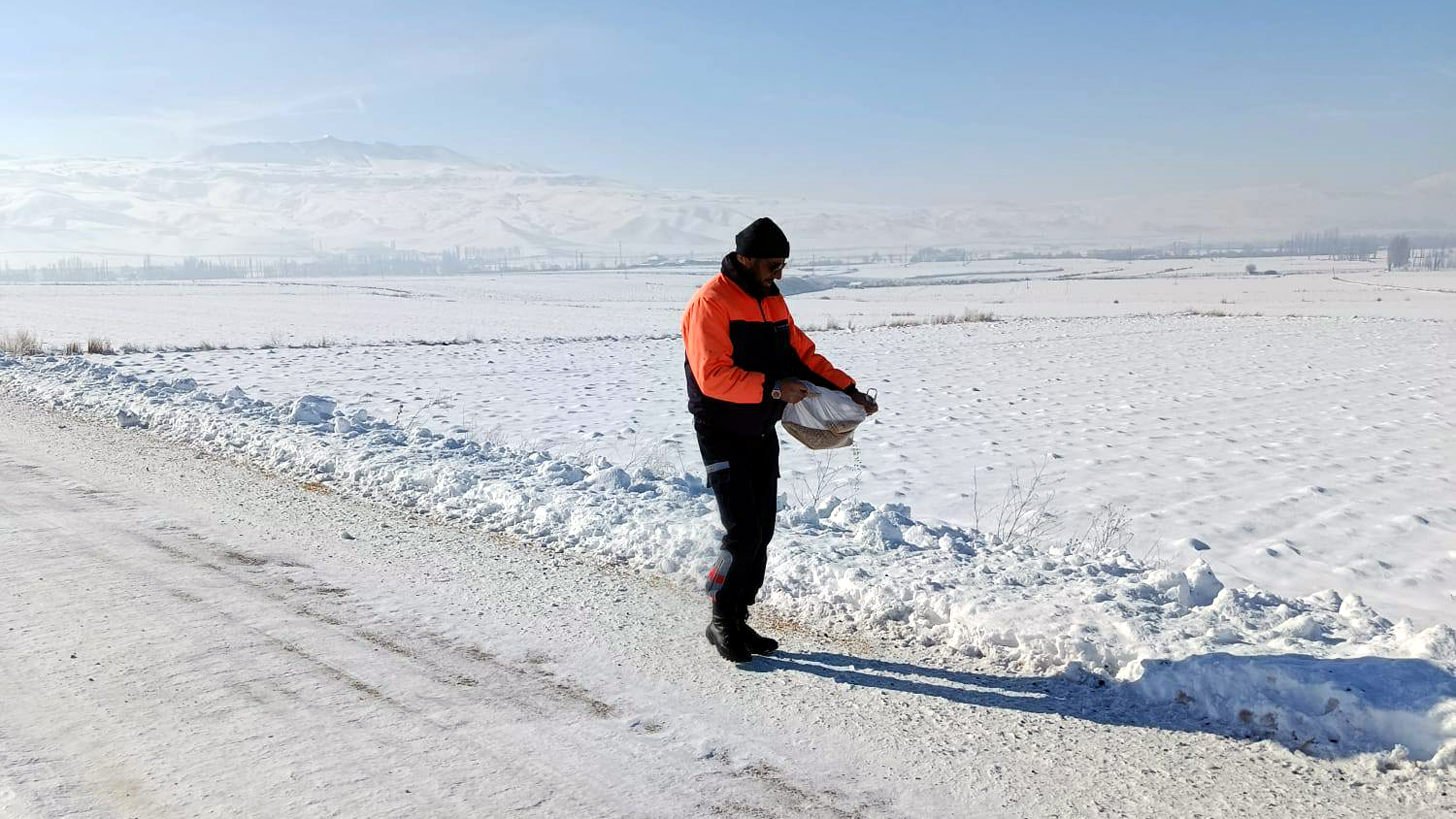 Gemerek'te sokak hayvanları için doğaya yem bırakıldı