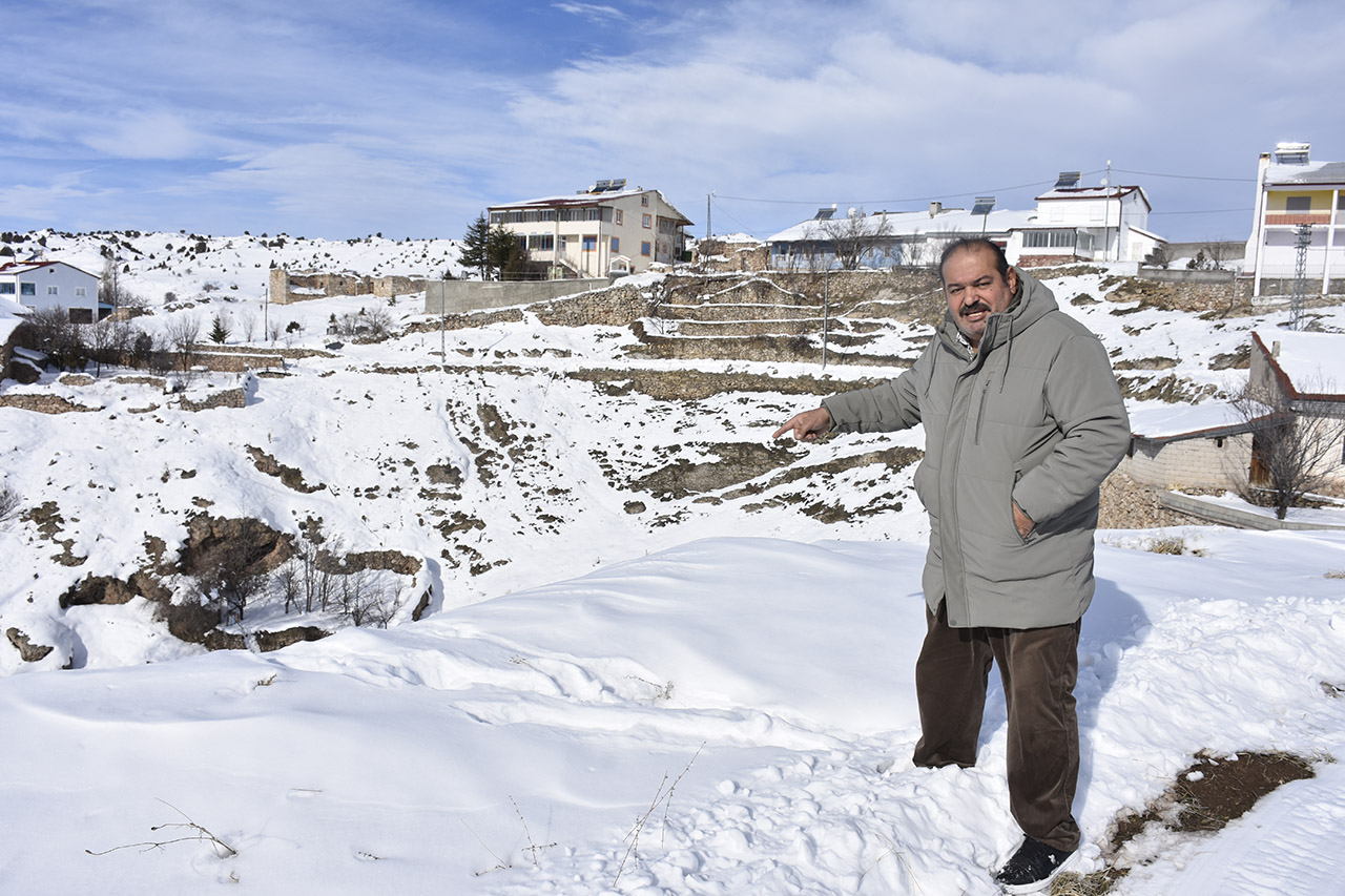 Yaban hayvanları, köpeksiz köyü mesken tuttu