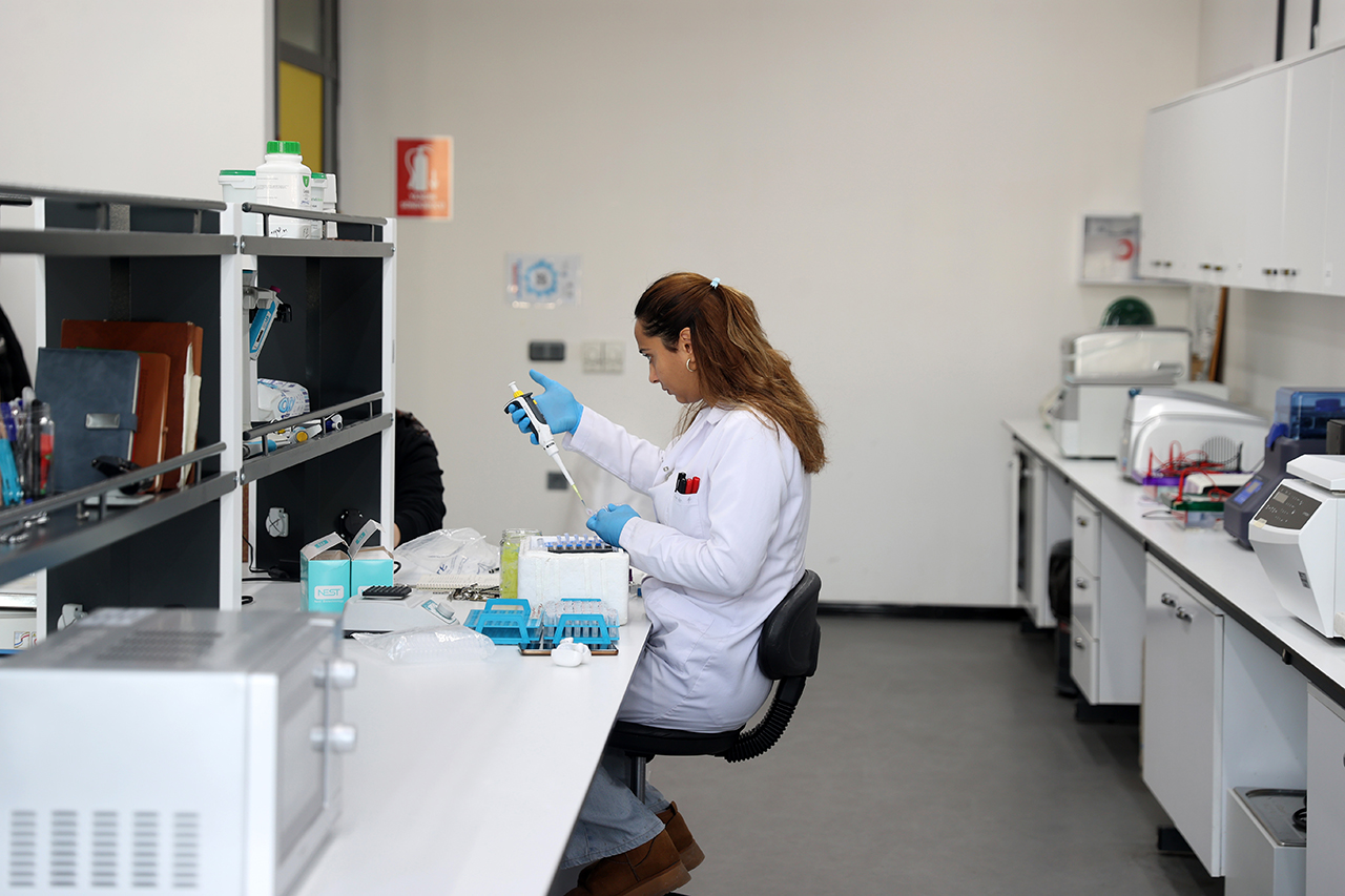 Sivas'ta tarımda büyük hamle: 5 yerli soya tohumu geliştirildi