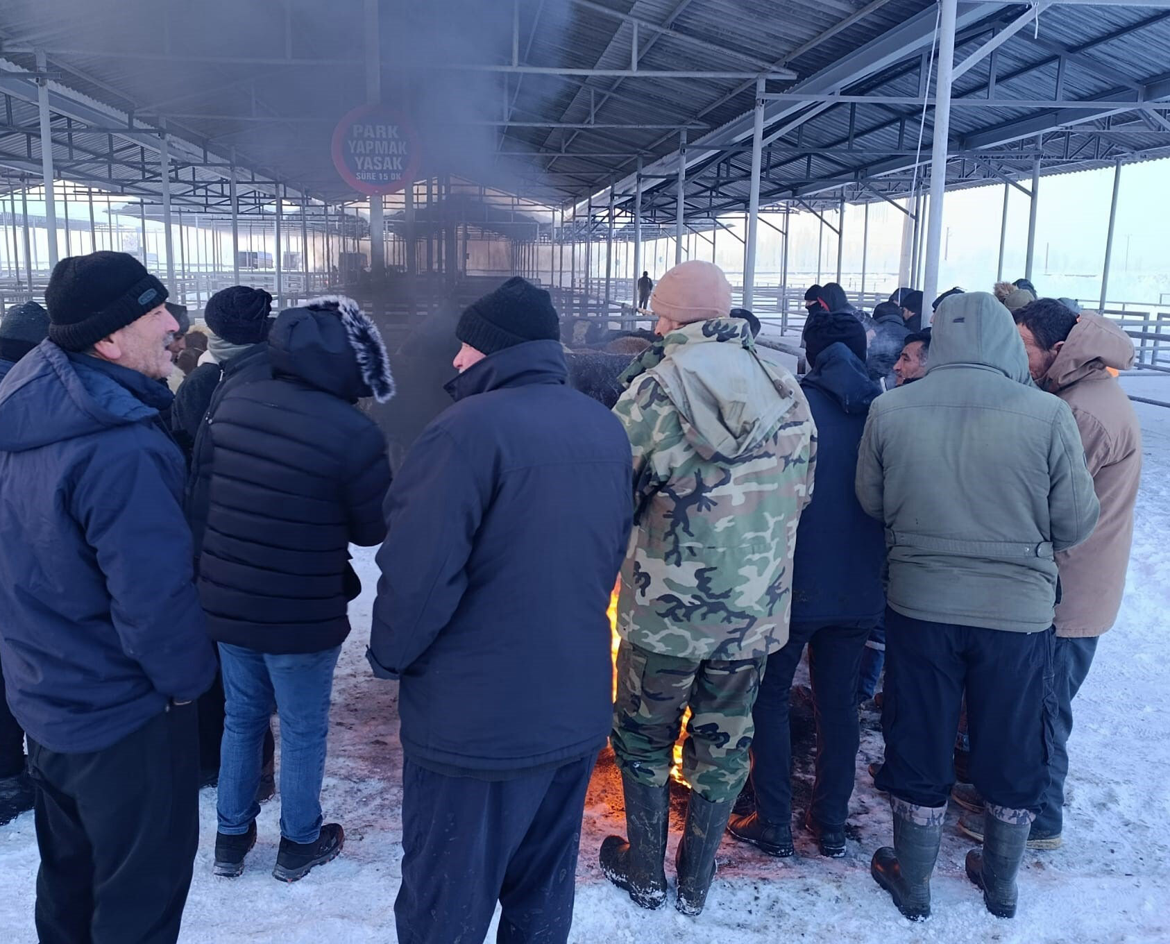 Gece yarısı değişti! Şarkışla Hayvan Pazarı artık o saatte açılacak