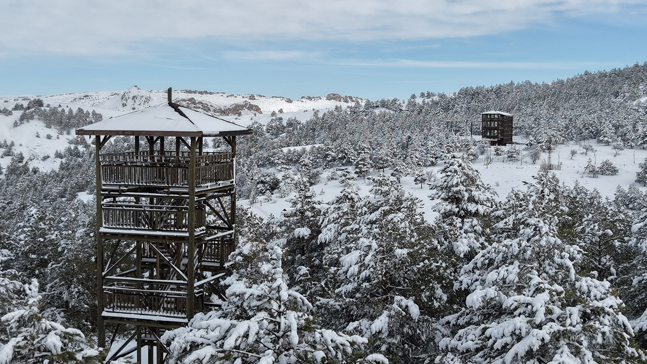 Kardeşler Ormanı'ndan 'karlı' Sivas manzarası