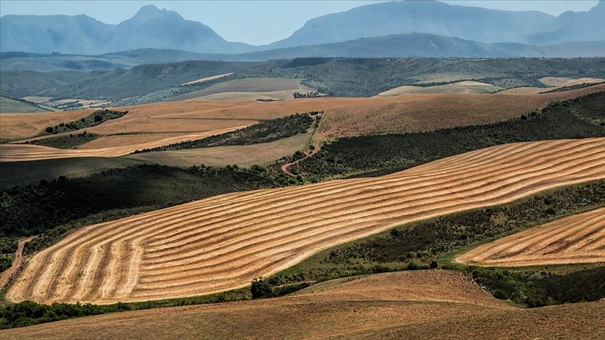 Kangal’da tapuda sahtecilik iddiasında memur görevden alındı