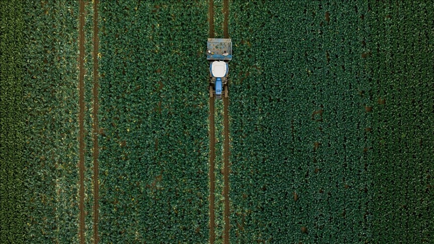 Hububatta üretim ve verim artışında yağışlar belirleyici olacak