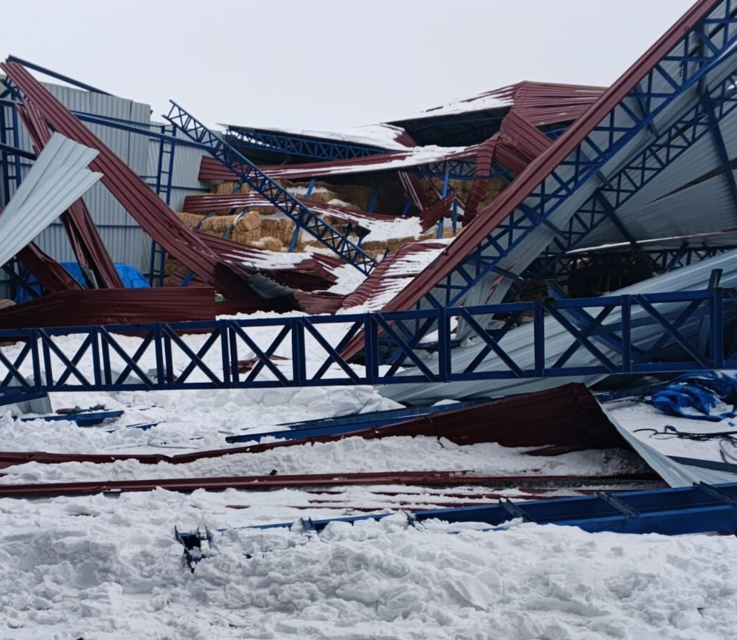 Sivas’ta yoğun kar yağışı nedeniyle samanlık çöktü