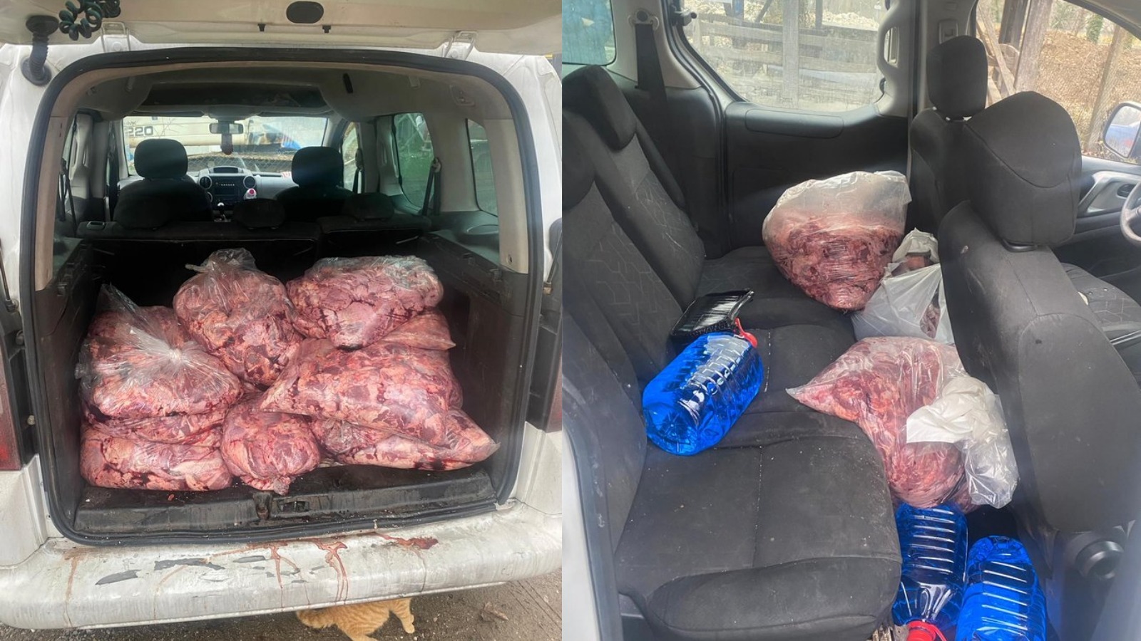 Durdurulan araçtan 450 kilo bozuk et çıktı