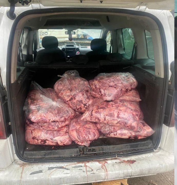 Durdurulan araçtan 450 kilo bozuk et çıktı