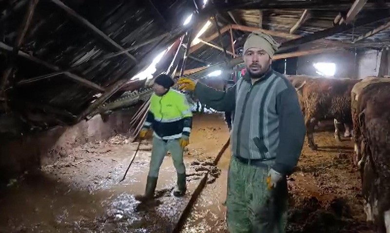 Komşular seferber oldu, hayvanlar son anda kurtarıldı