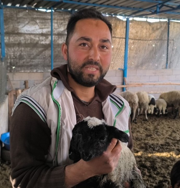 Çift başı ve 4 gözü ile doğan kuzu yaşama tutundu