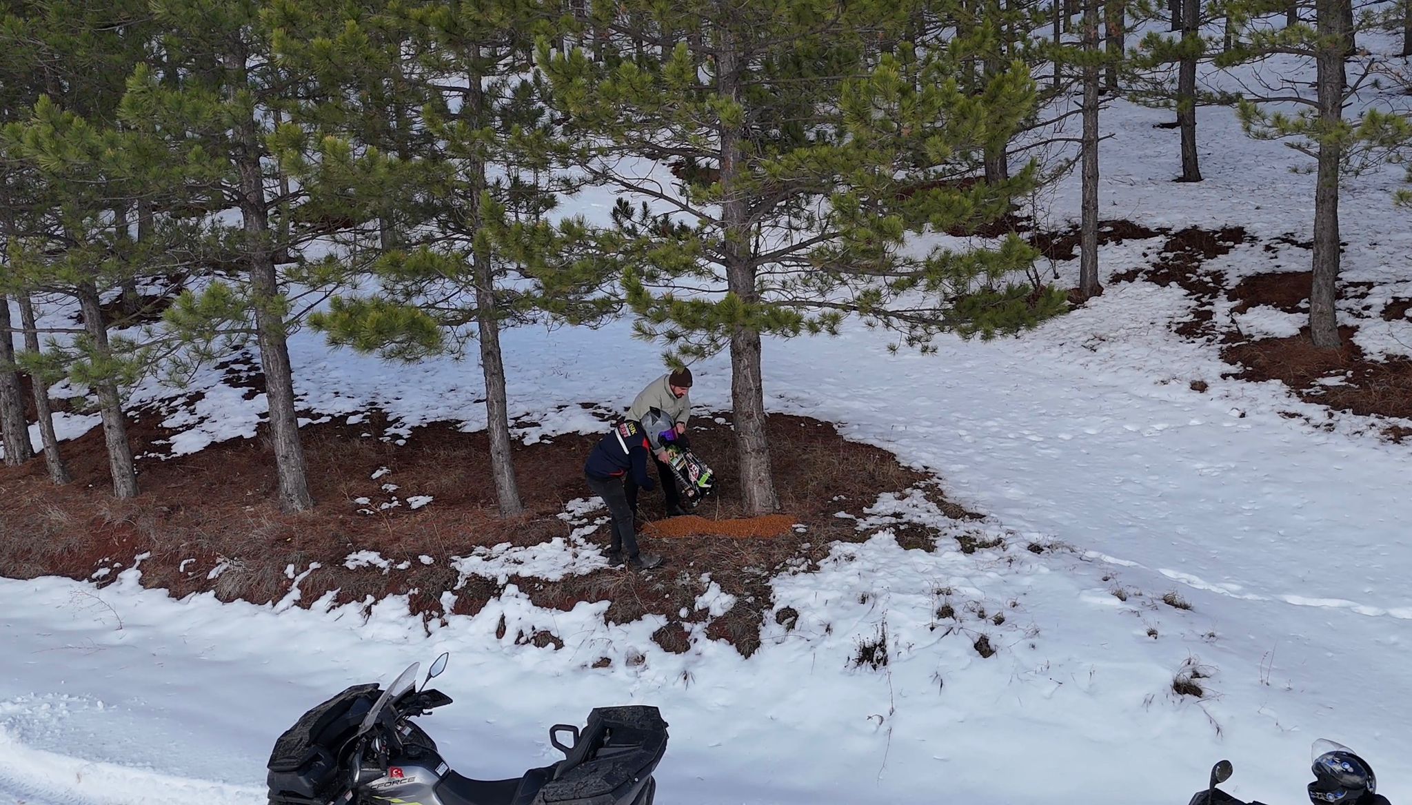 Suşehri'nde yaban hayvanları için doğaya yem bırakıldı