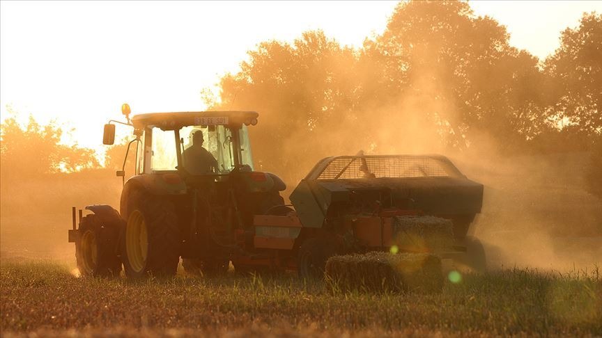 Sivas’a milyonluk müjde! İki dev proje hibe desteği aldı