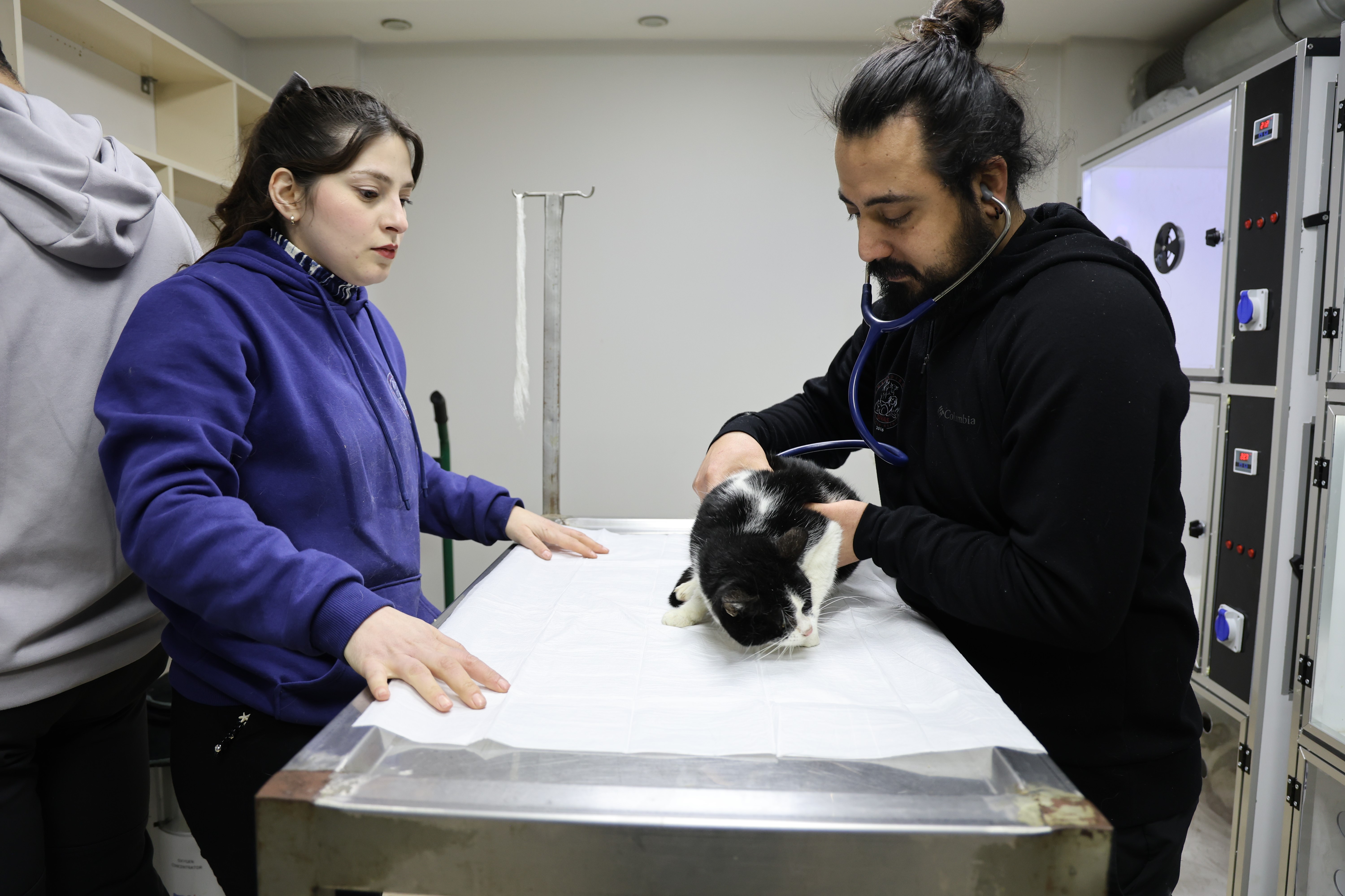 Yangından kurtarılan 11 kediye gözü gibi bakıyorlar!