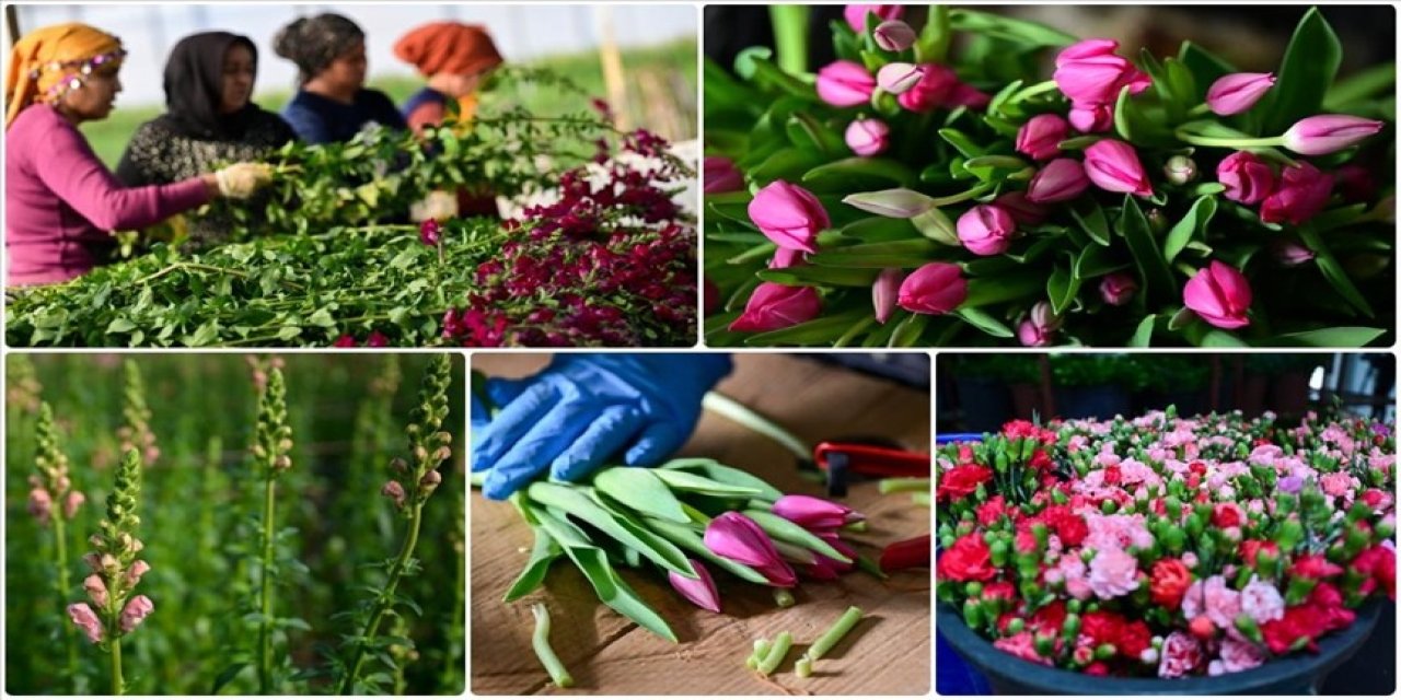 Çiçekçilerde Sevgililer Günü yoğunluğu başladı