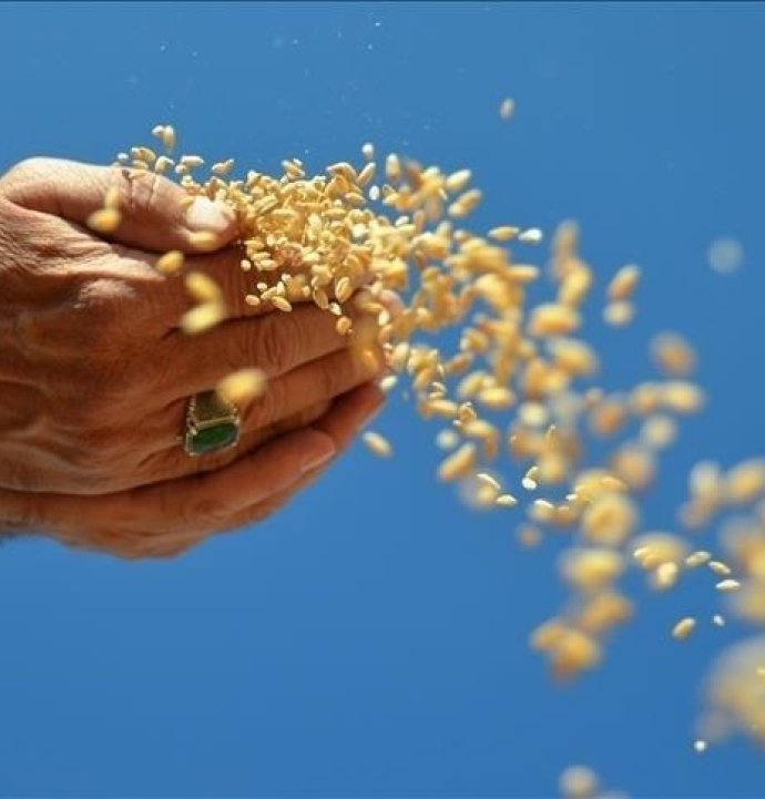 İhracat 1 milyar dolara yaklaştı