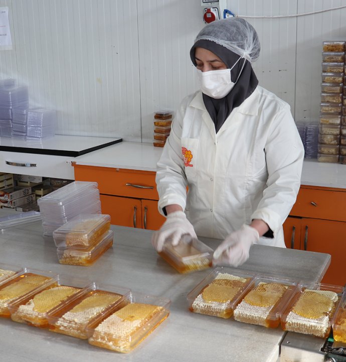 Sivas’tan dünyaya petek ve süzme bal ihracatı